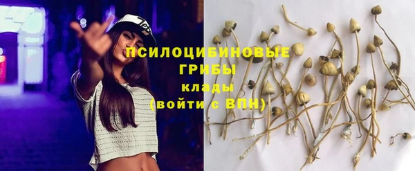 дживик Кодинск