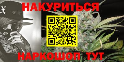 прущие крисы Донецк