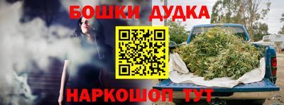 гидра Дубна