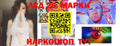 гидра Дубна