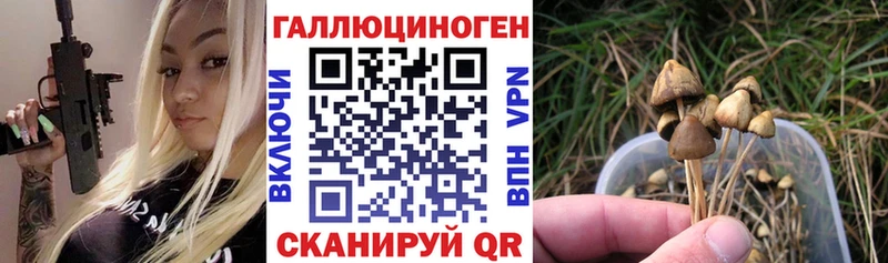 Галлюциногенные грибы Cubensis  Мыски 