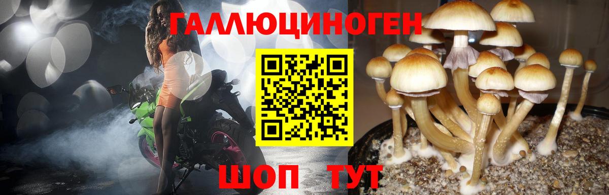 Галлюциногенные грибы мухоморы  Вход с VPN  Мыски  Псилоцибиновые грибы Magic Shrooms 